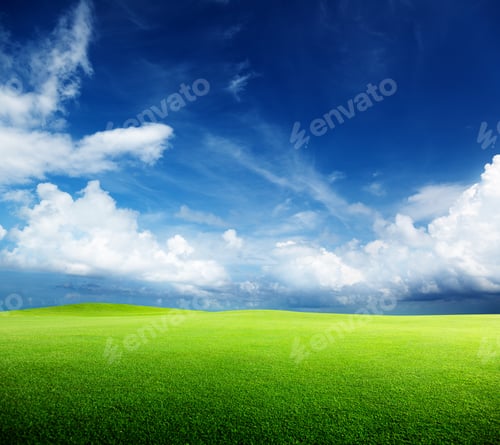 Preview: Green Field And Sunny Day