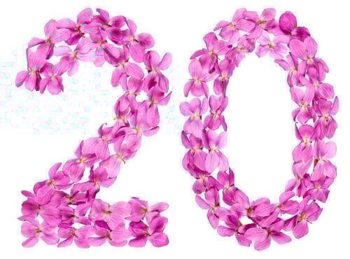 Preview: Arabic numeral 20, twenty, from flowers of viola, isolated on white background