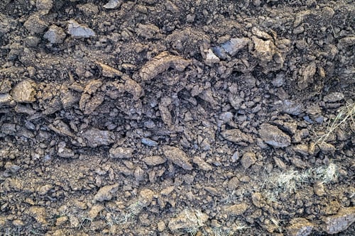 Preview: soil texture