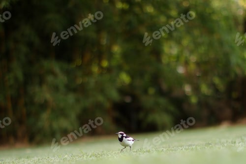 Preview: Antony Trivet Photography_ Creative. Stylish. Award-winning Photographer