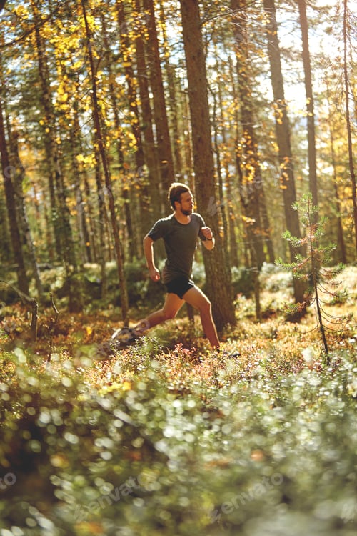 Preview: Man trail running in forest, Keimiotunturi, Lapland, Finland