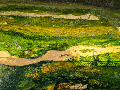 Preview: Aerial view of algae-covered riverbed with bridge shadows.
