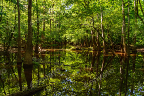 Preview: National Park
