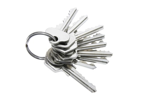Preview: A Bunch of Keys