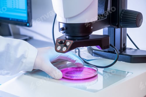 Preview: Scientist in latex gloves and lab coat putting samples under electronic microscope for testing