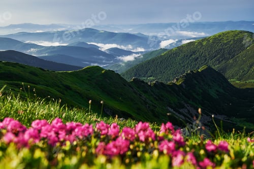 Preview: Valleys with fog. Majestic Carpathian mountains. Beautiful landscape. Breathtaking view