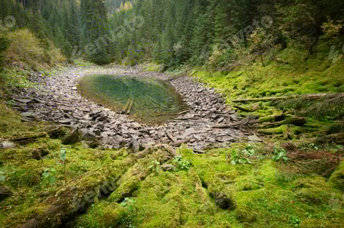 Preview: Beautiful mountain lake in the green wild forest