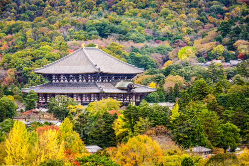 Preview: Todaiji Temple, Nara, Japan