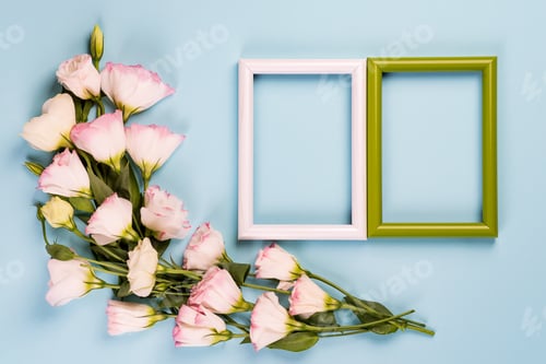 Preview: Empty color frames and flowers eustoma on blue paper background with copy space. Flat lay. Love