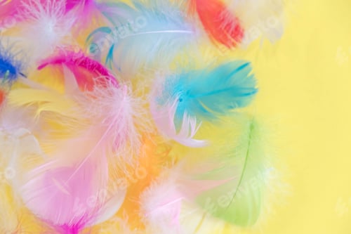Preview: feathers abstract background. Background for design with soft colorfull feathers pattern. Soft