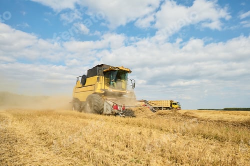 Preview: Modern Combine Harvester Operating in Wheat Field during Harvest Season