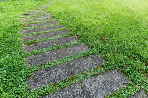 Preview: Stone way in green grass
