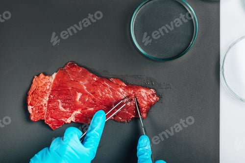 Preview: Food Quality Control - Red Meat