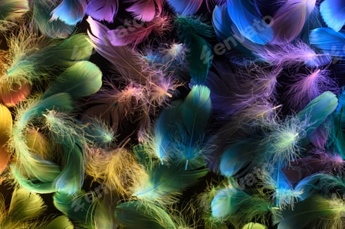 Preview: seamless background of bright neon multicolored soft feathers isolated on black