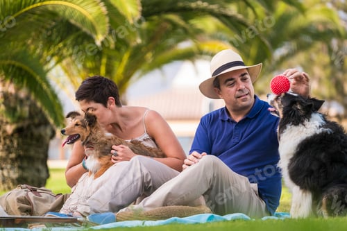 Preview: Adult caucasian couple sitting outdoor on a green meadow with tropical palm in background