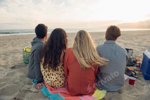 Preview: Group of friends having picnic on beach, rear view