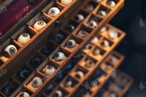 Preview: Wooden case filled with artificial eyes