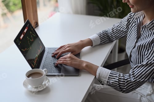 Preview: Female accountant analyzing financial graphs charts online on laptop screen.
