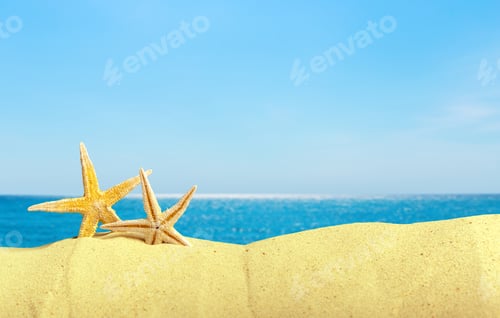 Preview: Sea shells with sand as background. Summer beach
