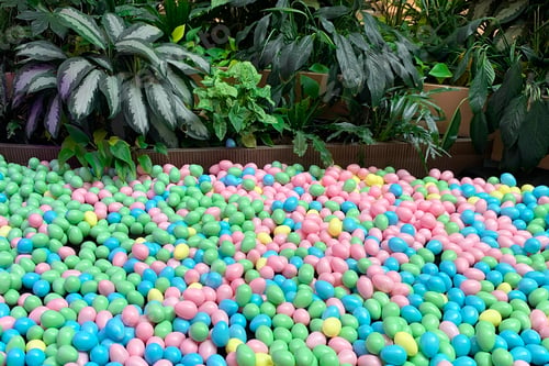 Preview: Colorful Pastel Easter Eggs For Textured Abstract Horisontal Holiday Background With Tropical Plants