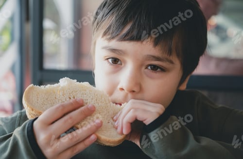 Preview: young boy eating bacon sandwich, School Kid having breakfast in the cafe be for go to school,