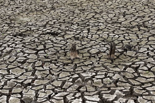 Preview: Cracked dry land without water.Abstract background