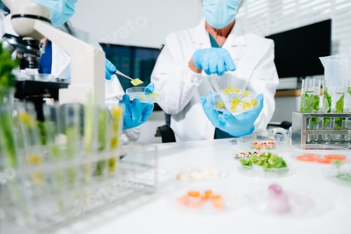Preview: Food scientists in lab coats, testing samples, and analyzing food safety and quality