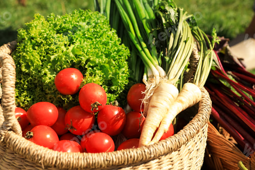 Preview: Different fresh ripe vegetables in wicker basket outdoors, closeup