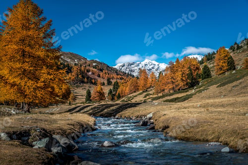Preview: View of an autumn landscape with a small creek flowing downstream