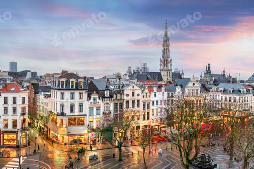 Preview: Brussels, Belgium plaza and skyline with the Town Hall