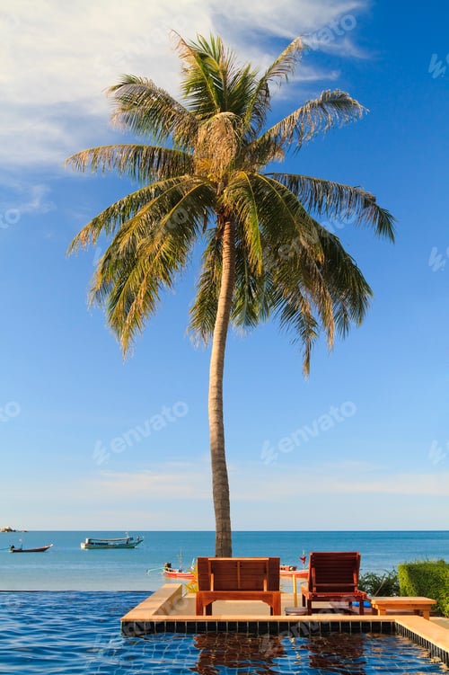 Preview: Paradise palm, a single coconut palm tree against a blue Thai sky. Luxury swimming pool by the sea.
