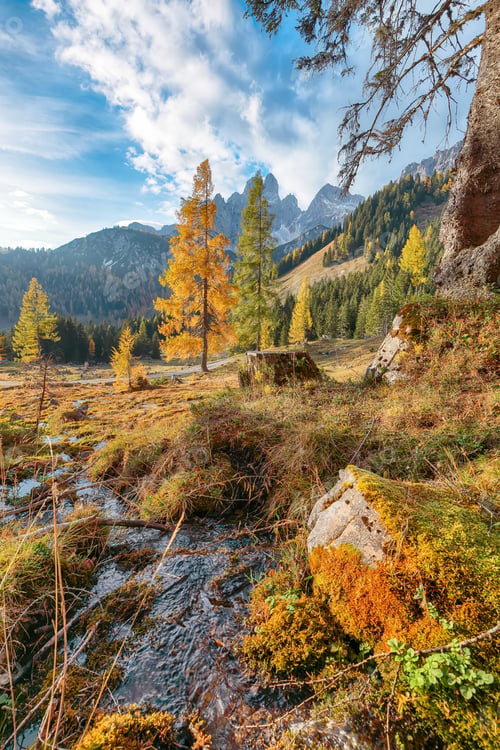 Preview: Gorgeous view of mountains and valleys with larch forest and wonderful sky are located in Filzmoos