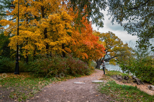 Preview: Woman Enjoying Beautiful Autumn Day in Park