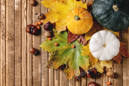 Preview: Variety of autumn leaves