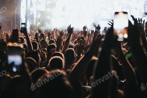Preview: Concert crowd on a music concert