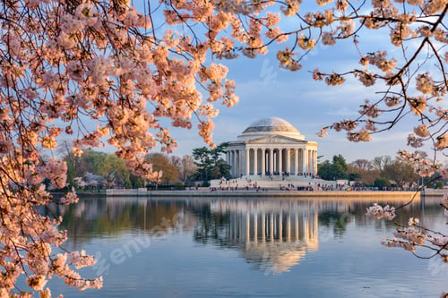 Preview: Washington, Dc At The Tidal Basin And Jefferson Memorial During Spring.