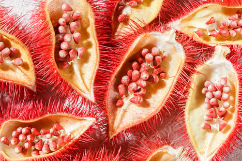 Preview: Annatto seeds, Onoto, Annatto, Bixa orellana, natural red pigment