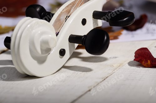Preview: Close view of a white violin dry oak leaves and musical notes on