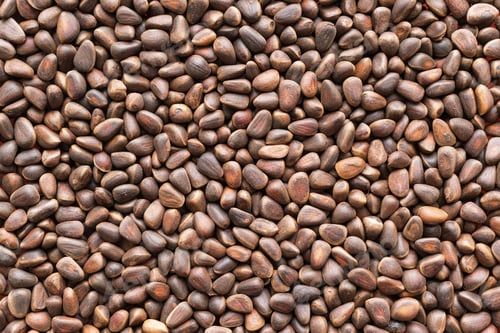Preview: Dried Seed Or Grains Of Cedar For A Background And Texture Closeup Of Brown Color