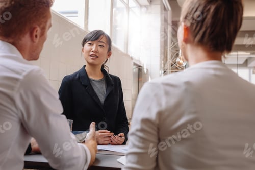Preview: Businesswoman explaining new business ideas to colleagues.