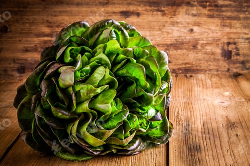Preview: fresh green organic lettuce on a wooden background