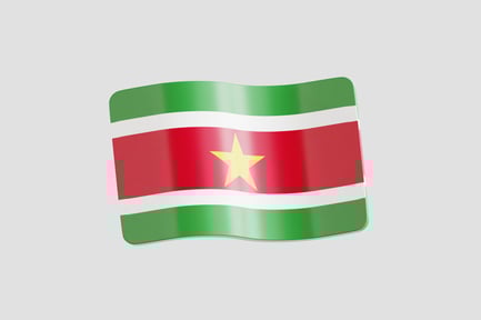 Preview: Suriname Flag