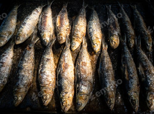 Preview: Grilled sardines on grill plate. Prepared spanish pilchard style at garden home