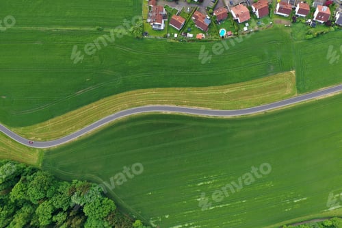 Preview: Drone photo of the bright green wheat field separated by the road.