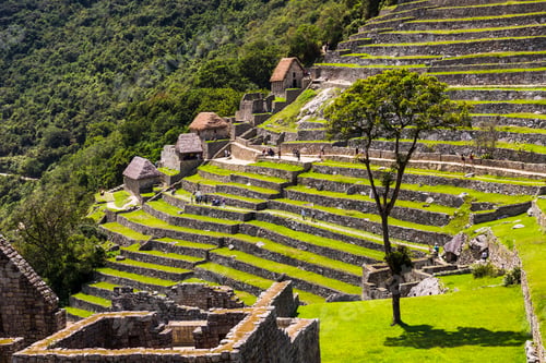 Preview: Inca terraces at Machu Picchu Inca ruins, Cusco Region, Peru, South America