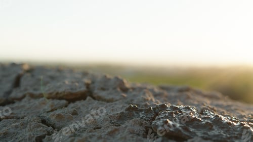 Preview: Cracks In Dry Soil