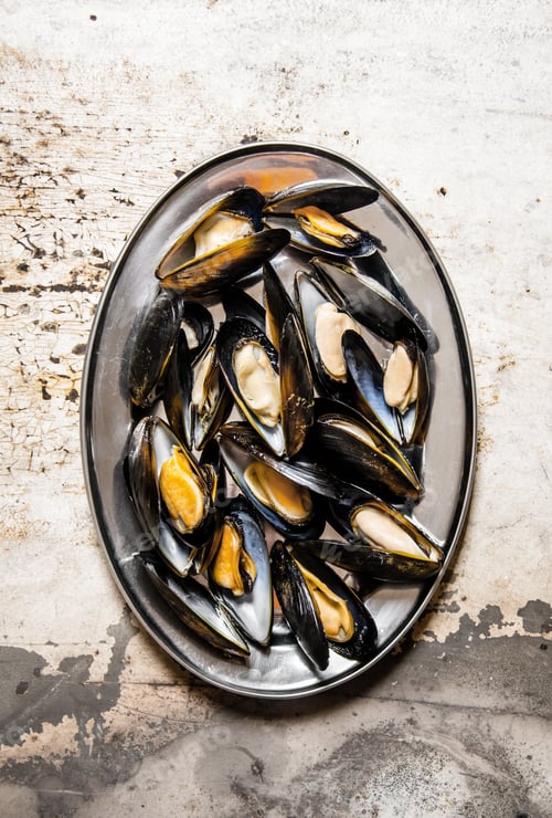 Preview: Clams on tray. On rustic background.