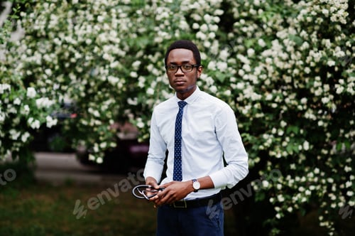 Preview: Stylish african american business man