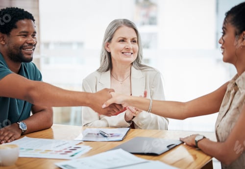 Preview: Finance, banking and loans, a handshake seal the deal for a happy, young startup entrepreneur. Meet
