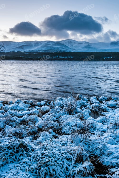 Preview: Loch Morlich in snow in winter, Glenmore, Cairngorms National Park, Scotland, United Kingdom, Europe